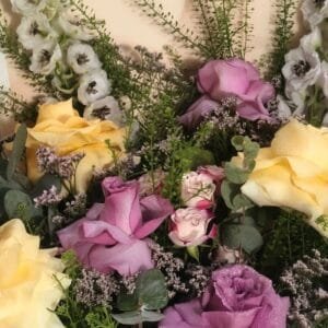 Pluto Flowers Golden Glow