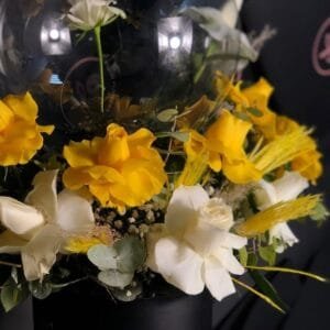 Pluto Flowers Crimson Elegance