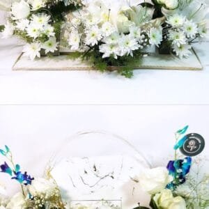 Pluto Flowers Dazzling Grace