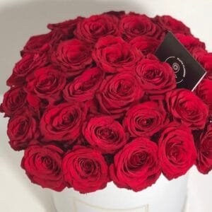 Pluto Flowers Sweet Blossoms