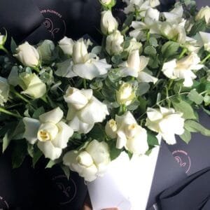 Pluto Flowers Majestic Charm