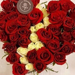 Pluto Flowers Crimson Glow