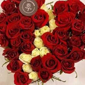 Pluto Flowers Crimson Glow