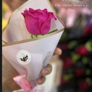 Pluto Flowers Radiant Bloom