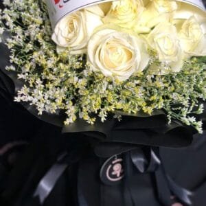 Pluto Flowers Scarlet Dream