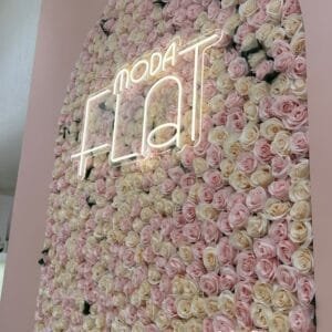 Pluto Flowers Scarlet Charm