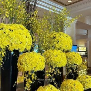 Pluto Flowers Eternal Grace