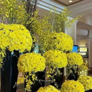 Pluto Flowers Eternal Grace