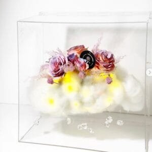 Pluto Flowers Romantic Bloom