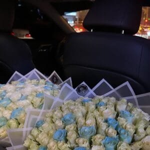 Pluto Flowers Vibrant Bloom