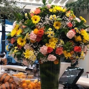 Pluto Flowers Velvet Touch