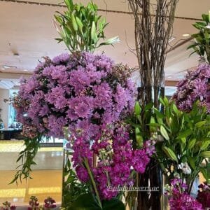 Pluto Flowers Delicate Blossom