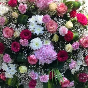 Pluto Flowers Morning Bloom