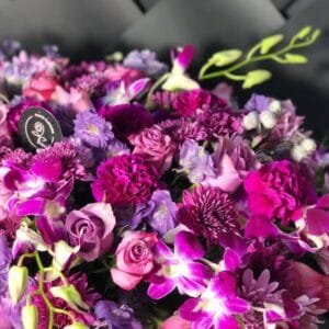 Pluto Flowers Bright Harmony