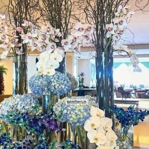 Pluto Flowers Eternal Delight