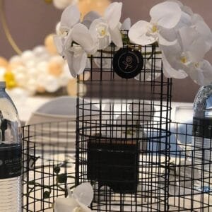 Pluto Flowers Charming Symphony