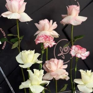 Pluto Flowers Romantic Bliss