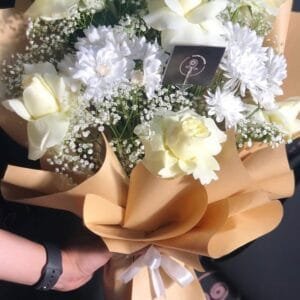 Pluto Flowers Blushing Radiance