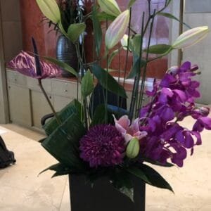 Pluto Flowers Pure Harmony