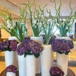 Pluto Flowers Whispering Bliss