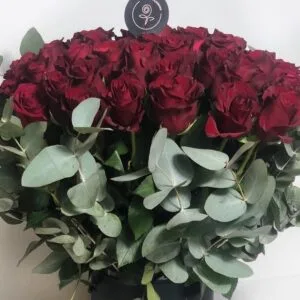 Pluto Flowers Blushing Affection