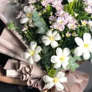 Pluto Flowers Sunshine Petals